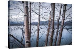 Water Beyond-Andrew Geiger-Stretched Canvas
