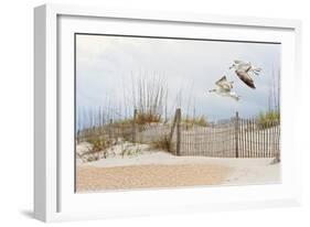 Water Bird Glimpse I-PHBurchett-Framed Art Print