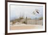 Water Bird Glimpse I-PHBurchett-Framed Art Print