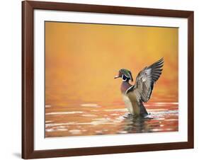 Water Bird Glimpse III-PHBurchett-Framed Art Print