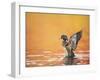 Water Bird Glimpse III-PHBurchett-Framed Art Print