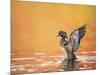 Water Bird Glimpse III-PHBurchett-Mounted Art Print