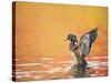 Water Bird Glimpse III-PHBurchett-Stretched Canvas