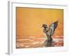 Water Bird Glimpse III-PHBurchett-Framed Art Print