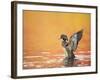 Water Bird Glimpse III-PHBurchett-Framed Art Print