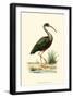 Water Birds II-null-Framed Art Print