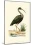 Water Birds II-null-Mounted Art Print