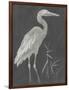 Water Birds - Rest-Aurora Bell-Framed Giclee Print