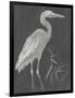 Water Birds - Rest-Aurora Bell-Framed Giclee Print