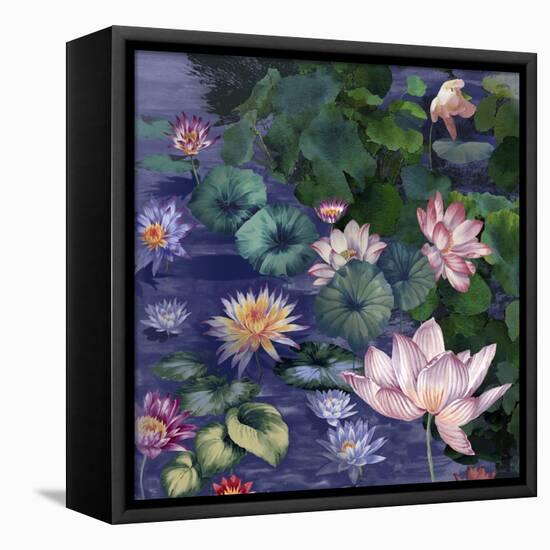 Water Blossoms-Bill Jackson-Framed Stretched Canvas