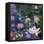 Water Blossoms-Bill Jackson-Framed Stretched Canvas