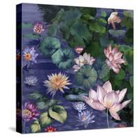 Water Blossoms-Bill Jackson-Stretched Canvas