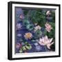 Water Blossoms-Bill Jackson-Framed Giclee Print