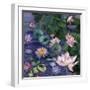 Water Blossoms-Bill Jackson-Framed Giclee Print