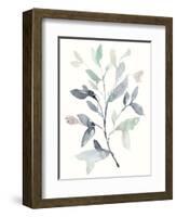 Water Branches I-Jennifer Goldberger-Framed Art Print