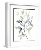 Water Branches I-Jennifer Goldberger-Framed Art Print