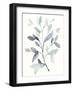 Water Branches I-Jennifer Goldberger-Framed Art Print