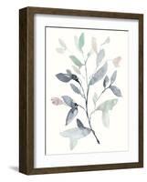 Water Branches I-Jennifer Goldberger-Framed Art Print