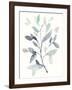 Water Branches I-Jennifer Goldberger-Framed Art Print