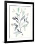 Water Branches I-Jennifer Goldberger-Framed Art Print