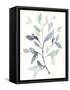 Water Branches I-Jennifer Goldberger-Framed Stretched Canvas