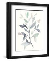 Water Branches I-Jennifer Goldberger-Framed Art Print