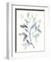 Water Branches I-Jennifer Goldberger-Framed Art Print