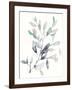 Water Branches II-Jennifer Goldberger-Framed Art Print