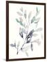 Water Branches II-Jennifer Goldberger-Framed Art Print