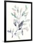 Water Branches II-Jennifer Goldberger-Framed Art Print