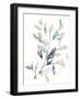 Water Branches II-Jennifer Goldberger-Framed Art Print