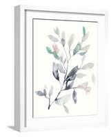 Water Branches II-Jennifer Goldberger-Framed Art Print