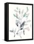 Water Branches II-Jennifer Goldberger-Framed Stretched Canvas