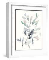 Water Branches II-Jennifer Goldberger-Framed Art Print