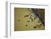 Water Buffalo and Dam Near Siem Reap, Cambodia-David Wall-Framed Photographic Print