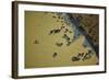 Water Buffalo and Dam Near Siem Reap, Cambodia-David Wall-Framed Photographic Print