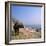 Water Buffalo and Drying Washing on the Banks of the Ganges, Varanasi, Uttar Pradesh State, India-Tony Gervis-Framed Photographic Print