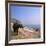 Water Buffalo and Drying Washing on the Banks of the Ganges, Varanasi, Uttar Pradesh State, India-Tony Gervis-Framed Photographic Print