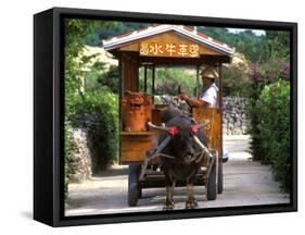 Water Buffalo Cart, Taketomi Island, Okinawa, Japan-Rob Tilley-Framed Stretched Canvas