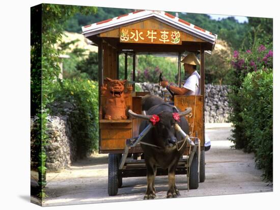 Water Buffalo Cart, Taketomi Island, Okinawa, Japan-Rob Tilley-Stretched Canvas