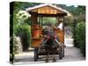 Water Buffalo Cart, Taketomi Island, Okinawa, Japan-Rob Tilley-Stretched Canvas