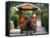 Water Buffalo Cart, Taketomi Island, Okinawa, Japan-Rob Tilley-Framed Stretched Canvas