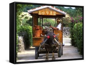 Water Buffalo Cart, Taketomi Island, Okinawa, Japan-Rob Tilley-Framed Stretched Canvas