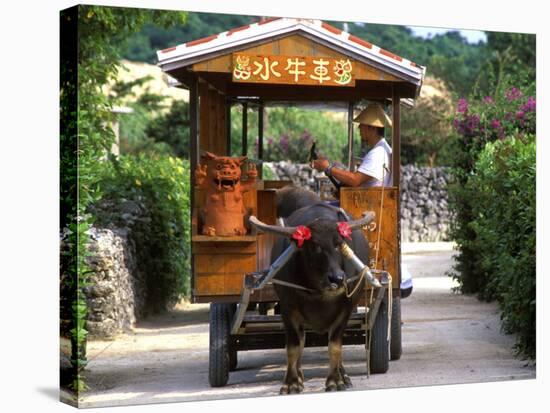 Water Buffalo Cart, Taketomi Island, Okinawa, Japan-Rob Tilley-Stretched Canvas