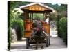 Water Buffalo Cart, Taketomi Island, Okinawa, Japan-Rob Tilley-Stretched Canvas