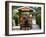 Water Buffalo Cart, Taketomi Island, Okinawa, Japan-Rob Tilley-Framed Photographic Print