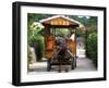 Water Buffalo Cart, Taketomi Island, Okinawa, Japan-Rob Tilley-Framed Photographic Print