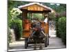 Water Buffalo Cart, Taketomi Island, Okinawa, Japan-Rob Tilley-Mounted Photographic Print