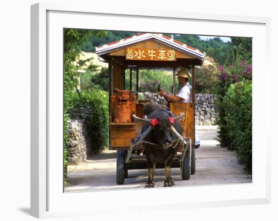 Water Buffalo Cart, Taketomi Island, Okinawa, Japan-Rob Tilley-Framed Photographic Print