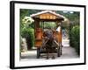 Water Buffalo Cart, Taketomi Island, Okinawa, Japan-Rob Tilley-Framed Photographic Print